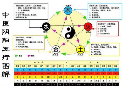 水生金 五行|五行